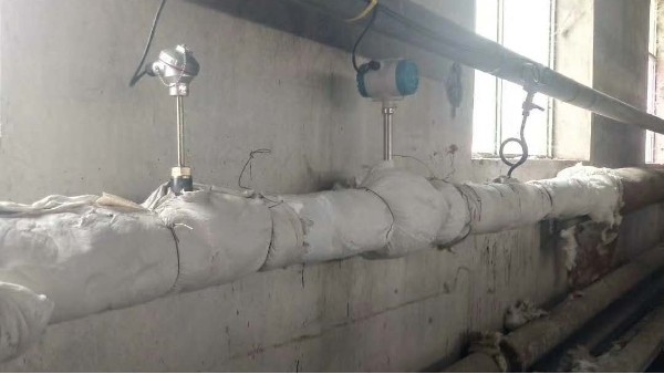 蒸汽绿巨人视频污下载厂家