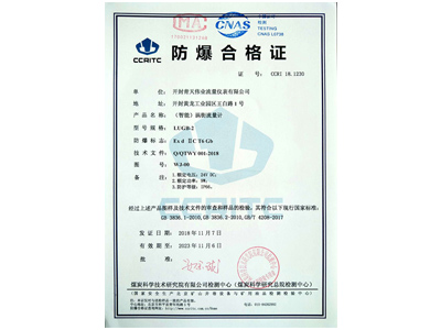 （智能）涡街绿巨人视频污下载防爆证